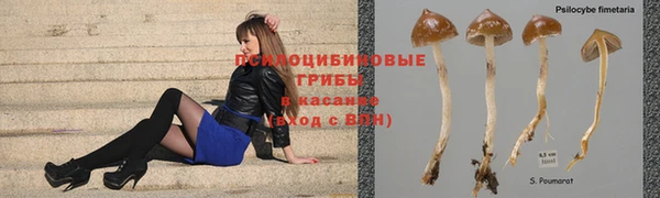 ешки Беломорск